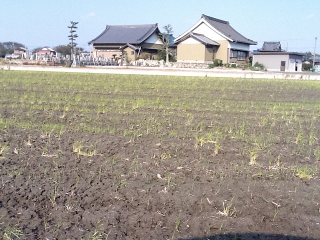 夕日に映える源盛院